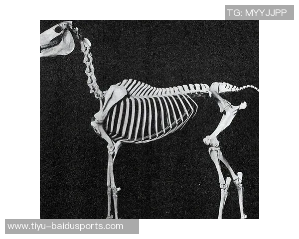 关于熊猫杯染红的汪士钦,你可能不知道的10件事 关于熊猫杯染红的汪士钦,你可能不知道的10件事